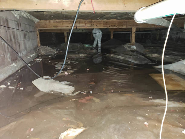 Professional Water damage restoration in Neosho, MO